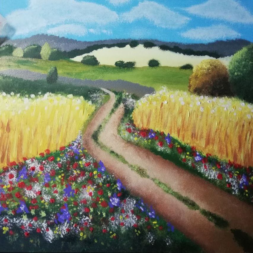 Picturesque fields