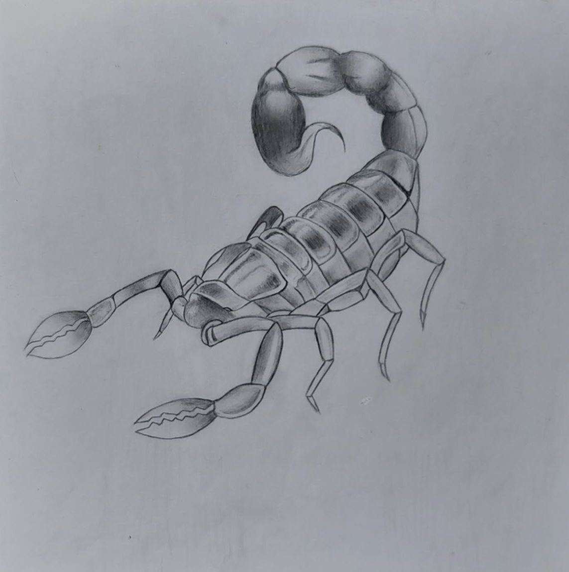 Scorpion
